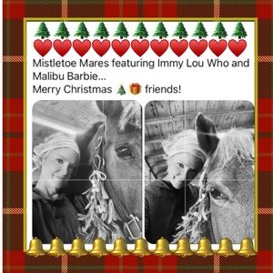 MALIBU BARBIE IS HOME! 🐴